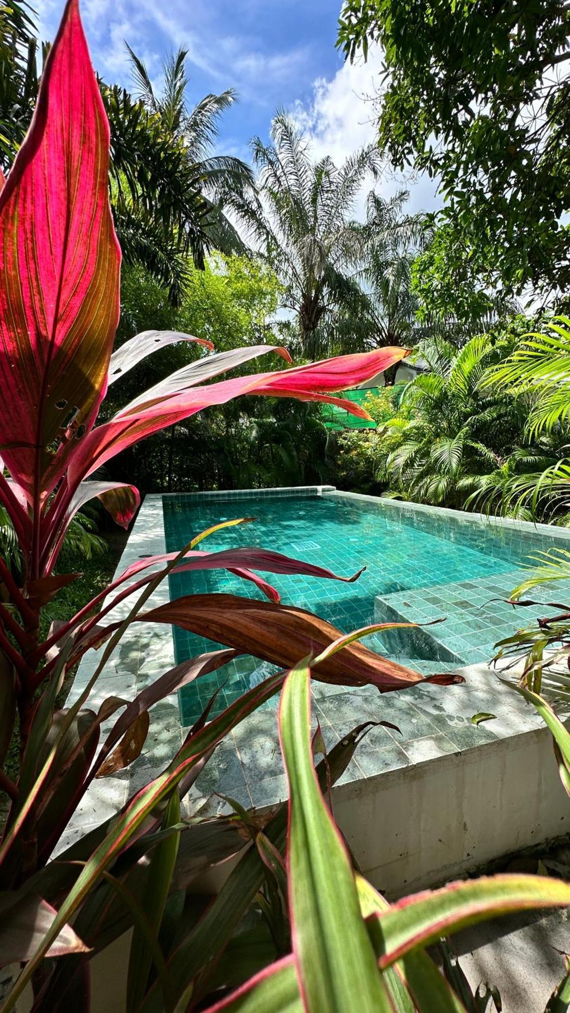 Salad Beach Guest House Ko Pha Ngan Ngoại thất bức ảnh